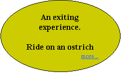 Oval: An exiting experience. 

Ride on an ostrich
more...
