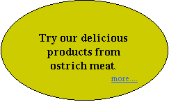 Oval: Try our delicious products from ostrich meat.
more....

