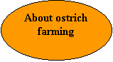 Oval: About ostrich farming


